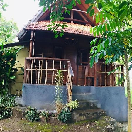 Echo Alam Nusa Lodge Ped エクステリア 写真