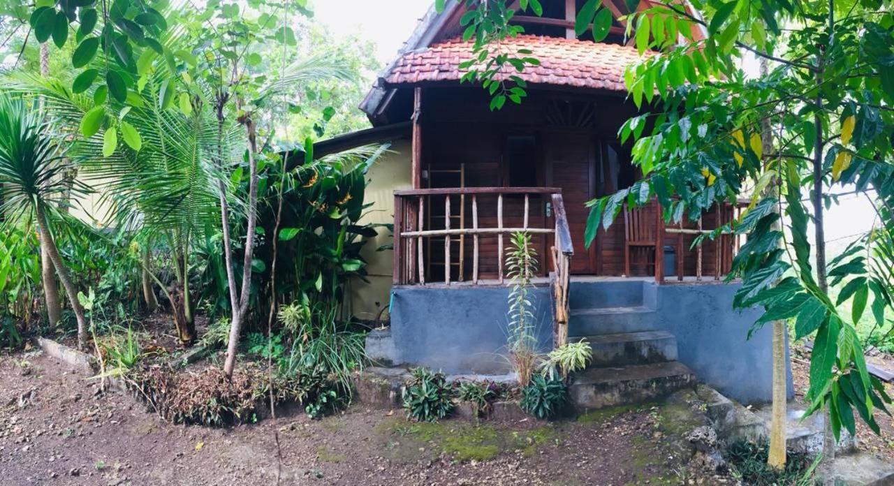 Echo Alam Nusa Lodge Ped エクステリア 写真