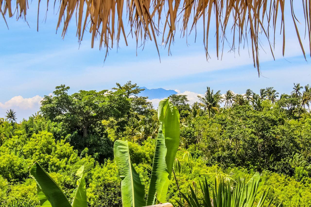 Echo Alam Nusa Lodge Ped エクステリア 写真