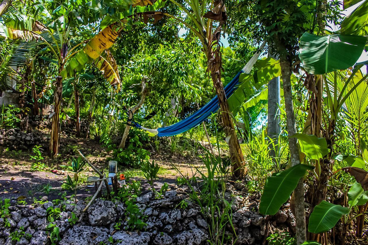 Echo Alam Nusa Lodge Ped エクステリア 写真