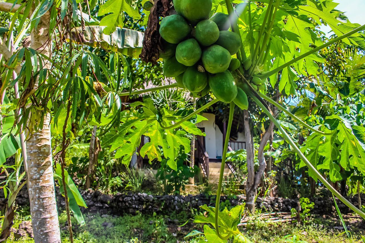 Echo Alam Nusa Lodge Ped エクステリア 写真