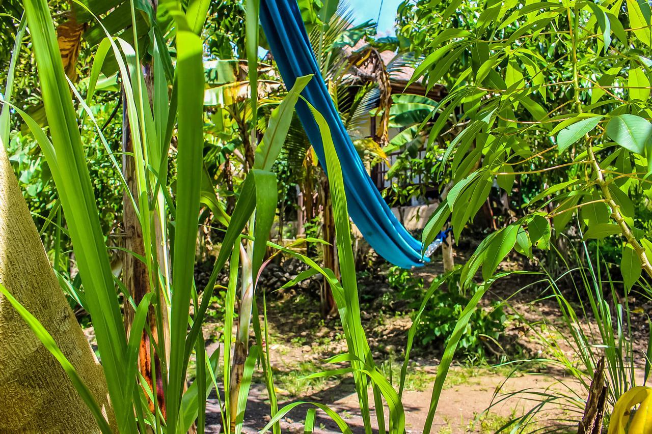 Echo Alam Nusa Lodge Ped エクステリア 写真