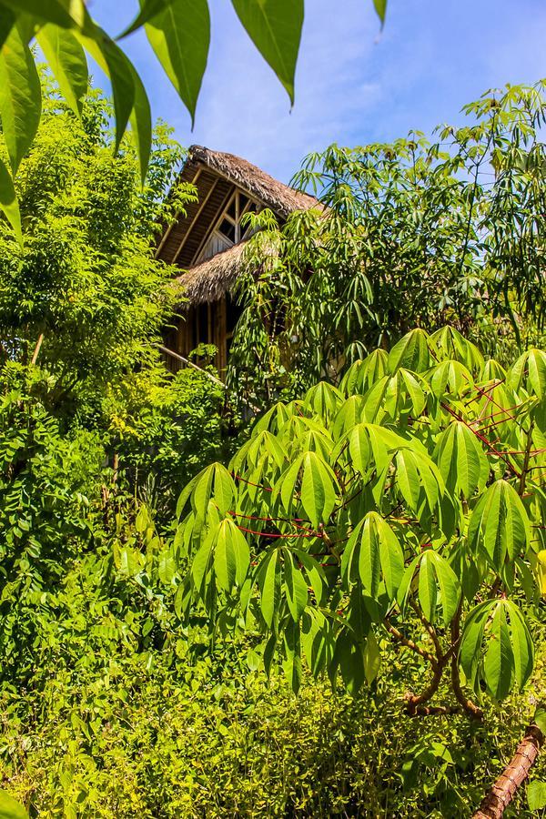 Echo Alam Nusa Lodge Ped エクステリア 写真
